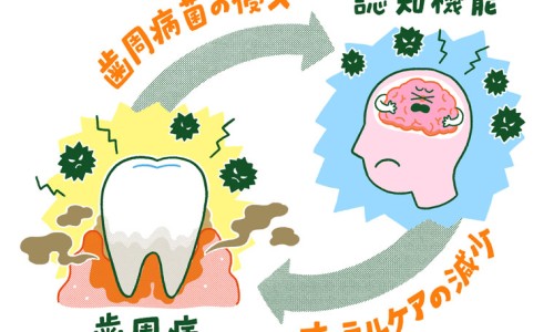 风藤手镯有什么用-风藤手镯不能乱戴专区_风藤手镯不能乱戴专区_风藤手镯的功效与作用网