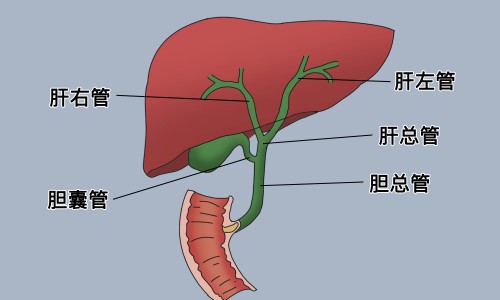 风藤手镯不能乱戴专区_风藤手镯不能乱戴专区_风藤手镯的功效与作用网